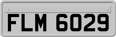 FLM6029