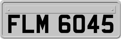 FLM6045