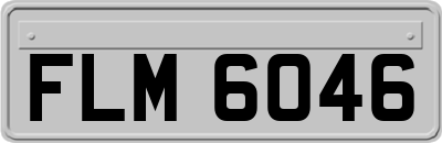 FLM6046