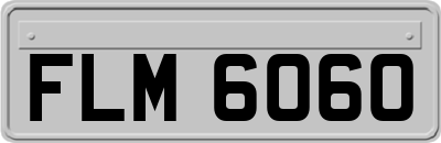 FLM6060