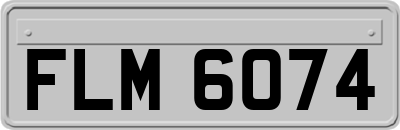 FLM6074