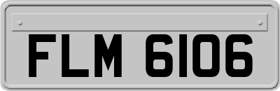 FLM6106