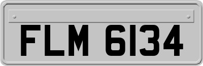 FLM6134
