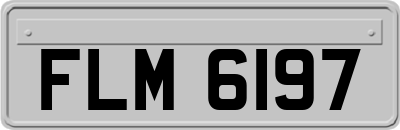 FLM6197