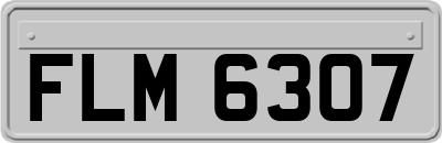 FLM6307