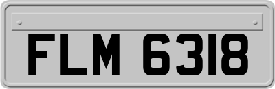 FLM6318