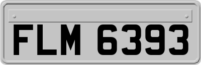 FLM6393