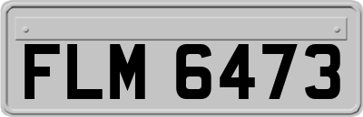 FLM6473