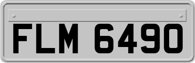 FLM6490