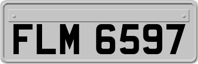 FLM6597