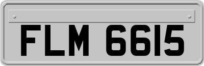 FLM6615
