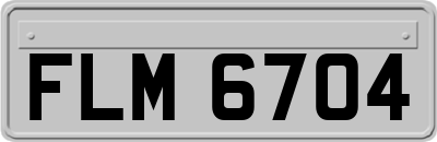 FLM6704
