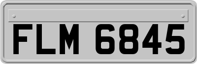 FLM6845