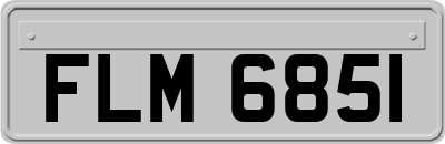 FLM6851