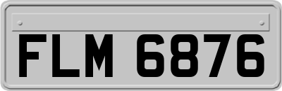 FLM6876