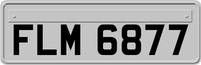 FLM6877