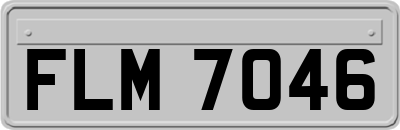 FLM7046