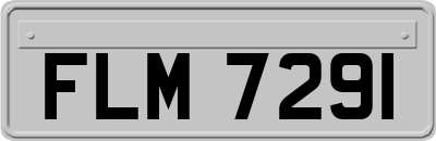 FLM7291