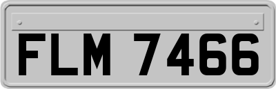 FLM7466