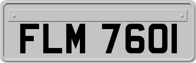 FLM7601