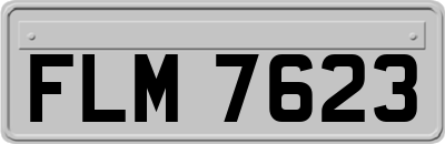FLM7623