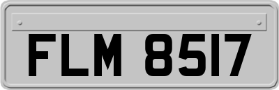 FLM8517