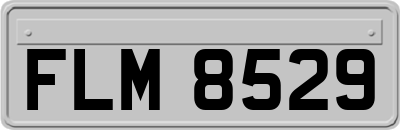 FLM8529