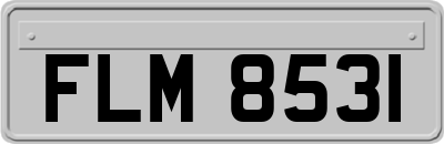FLM8531