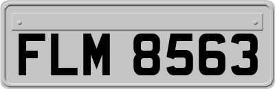 FLM8563