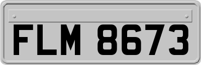 FLM8673