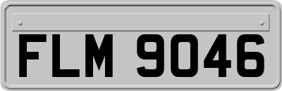 FLM9046