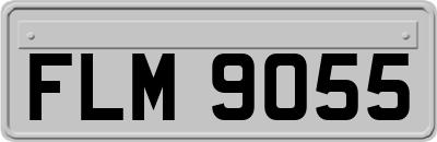 FLM9055