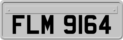 FLM9164