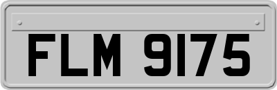 FLM9175
