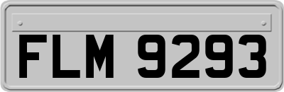 FLM9293