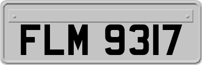 FLM9317