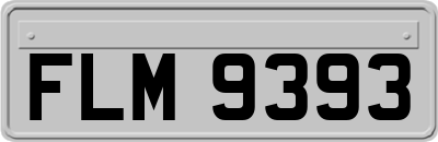 FLM9393