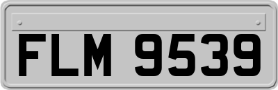 FLM9539