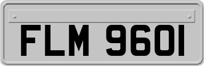 FLM9601