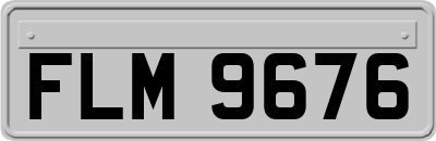 FLM9676
