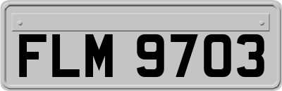 FLM9703