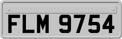 FLM9754
