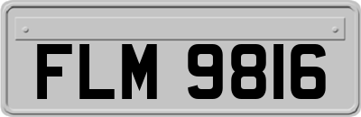 FLM9816