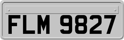 FLM9827