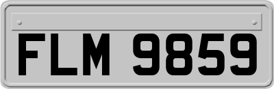 FLM9859