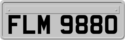 FLM9880