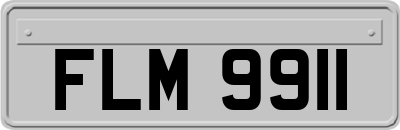 FLM9911