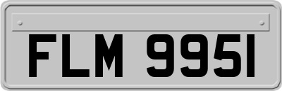 FLM9951