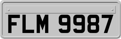 FLM9987