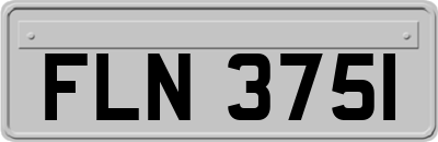 FLN3751